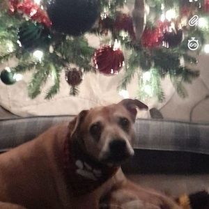 Meet your Posher, Aurora